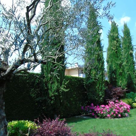 B&B Ai Cipressi Mestrino Εξωτερικό φωτογραφία